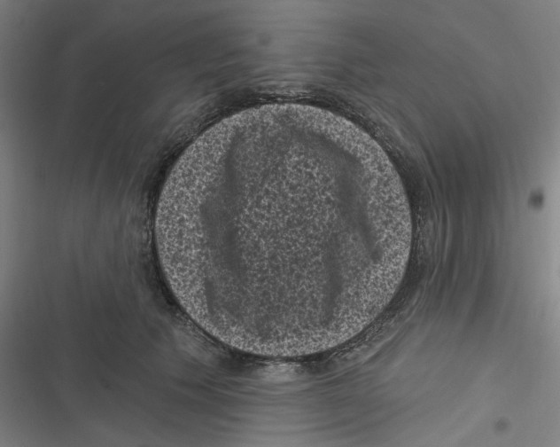 X0000116610609201001081212