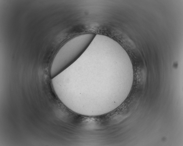 X0000116610611201001081212