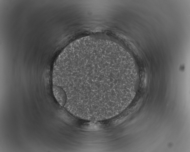 X0000116610612201001081212