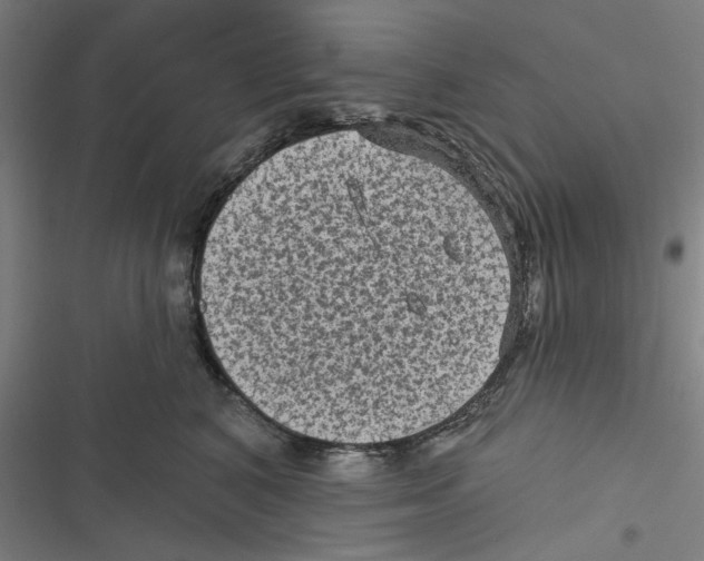 X0000116610616201001081212