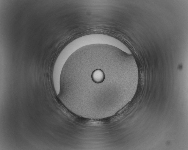 X0000116610617201001081212