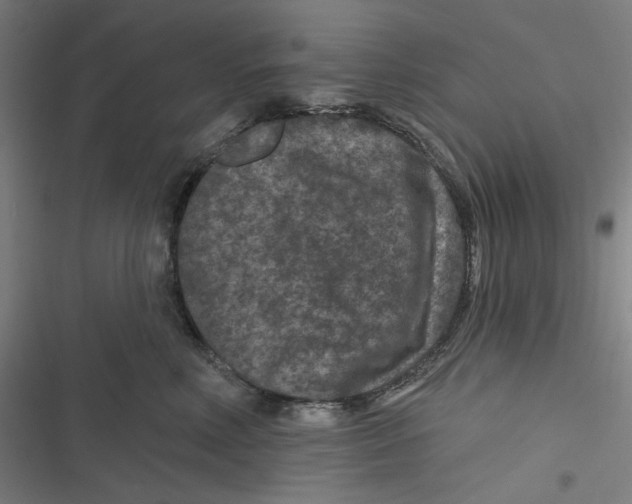 X0000116610618201001081212