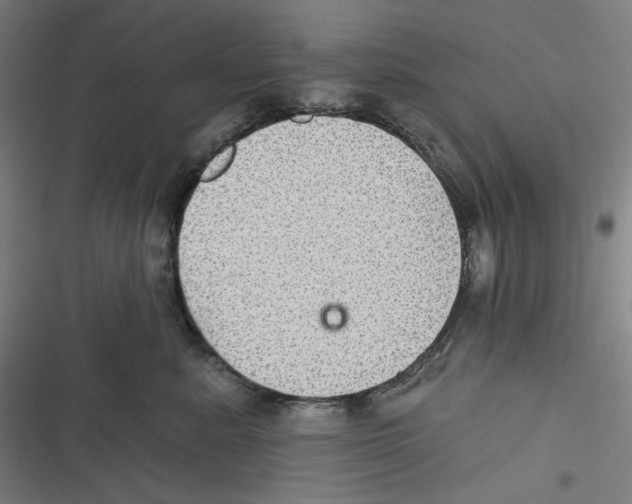 X0000116610619201001081212