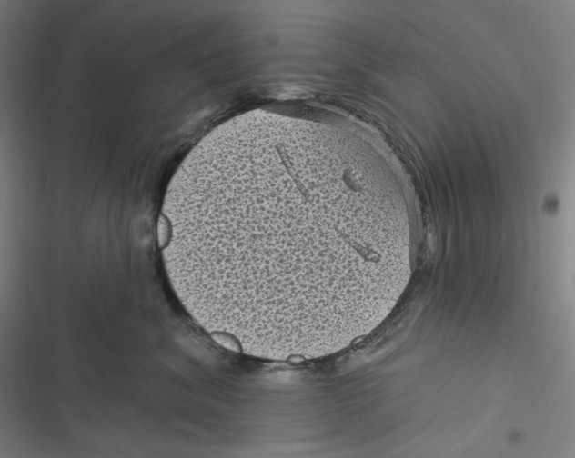 X0000116610620201001081212