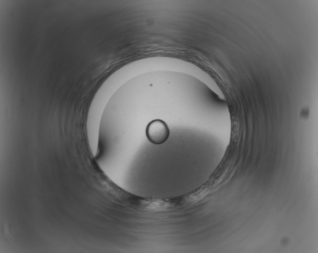 X0000116610621201001081212