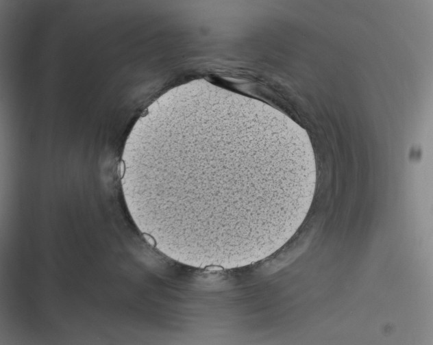 X0000116610624201001081212