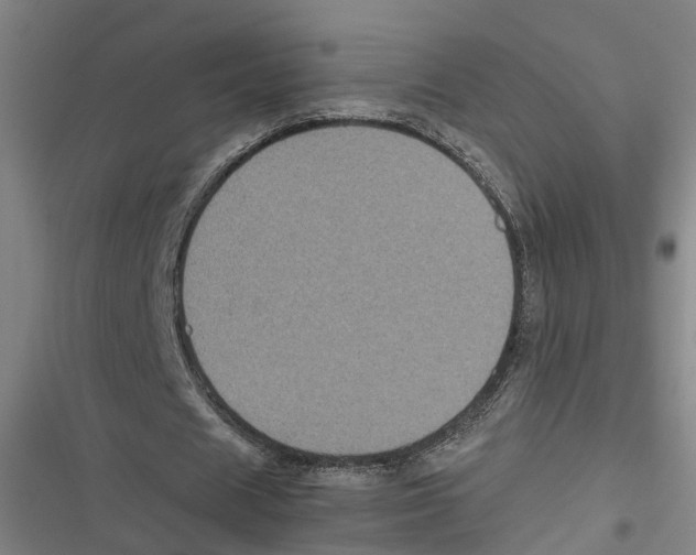 X0000116610625201001081211