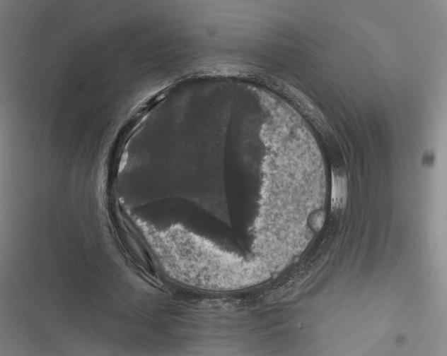 X0000116610627201001081211