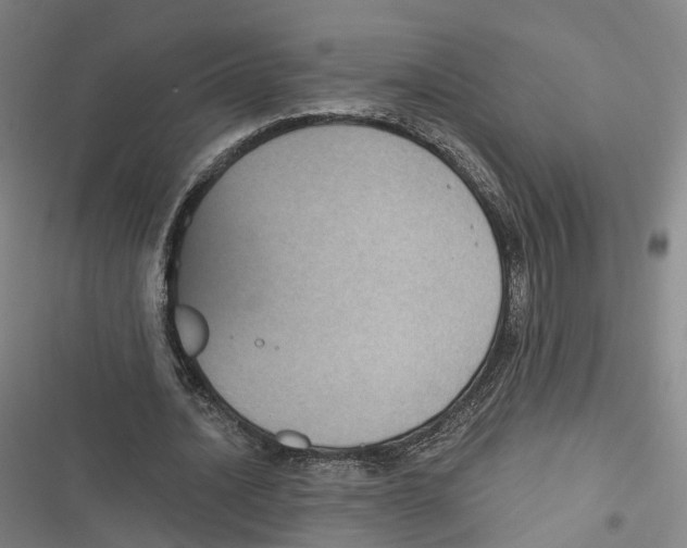 X0000116610628201001081211