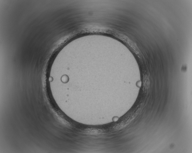 X0000116610629201001081211