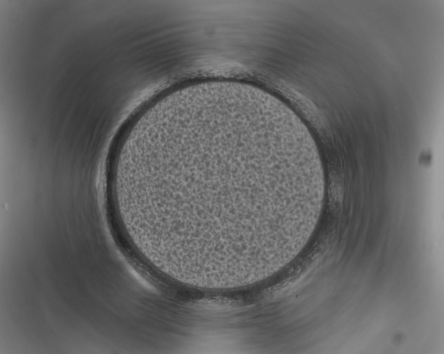 X0000116610630201001081211