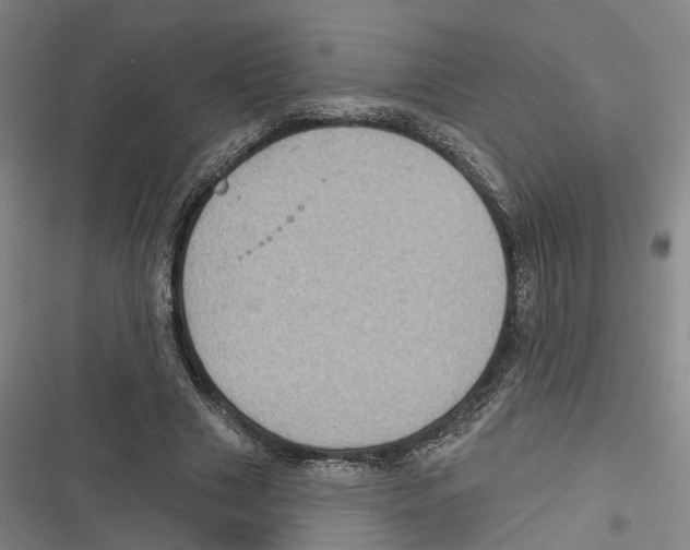 X0000116610633201001081211