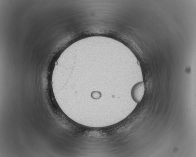 X0000116610635201001081211