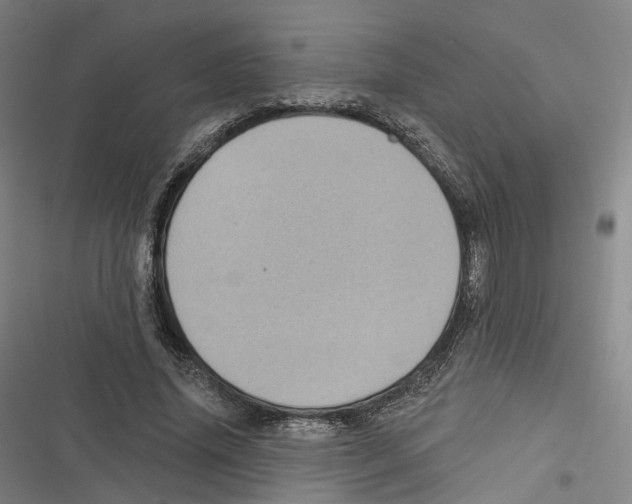 X0000116610636201001081211