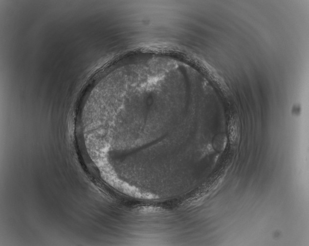 X0000116610637201001081211