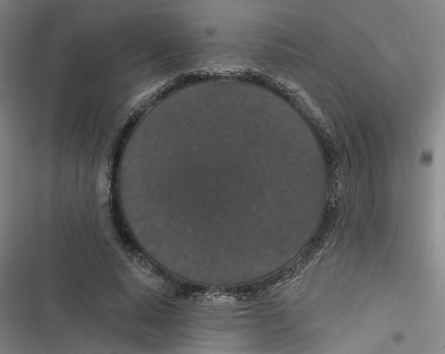 X0000116610640201001081211