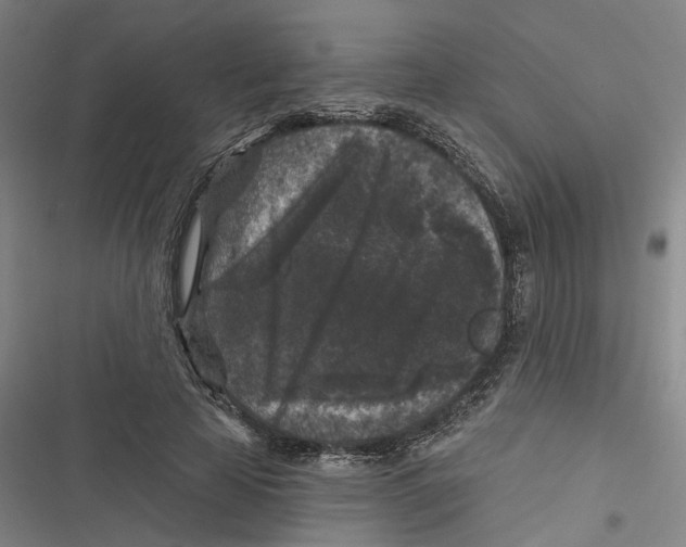 X0000116610641201001081211