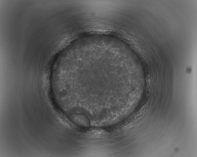 X0000116610642201001081211