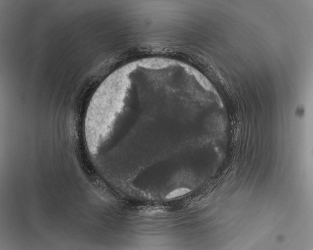 X0000116610643201001081211