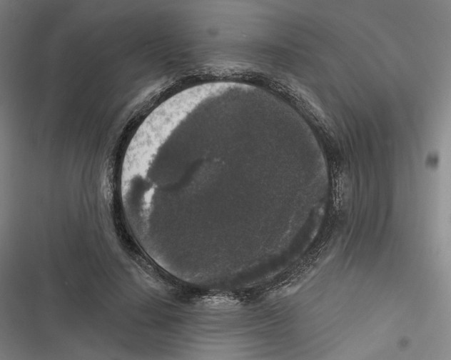 X0000116610644201001081211