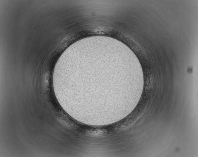 X0000116610646201001081211