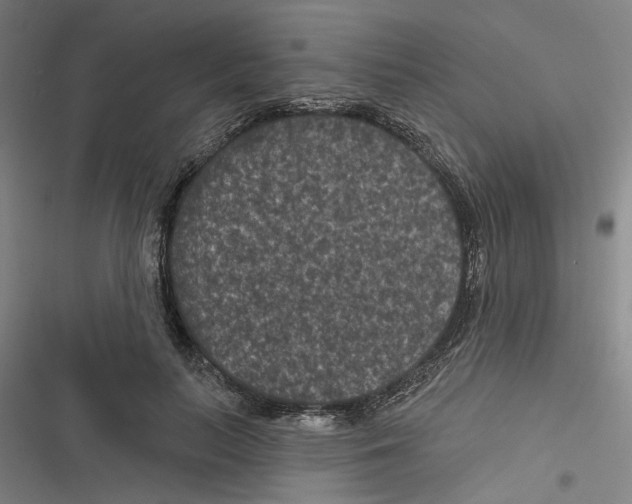 X0000116610647201001081211