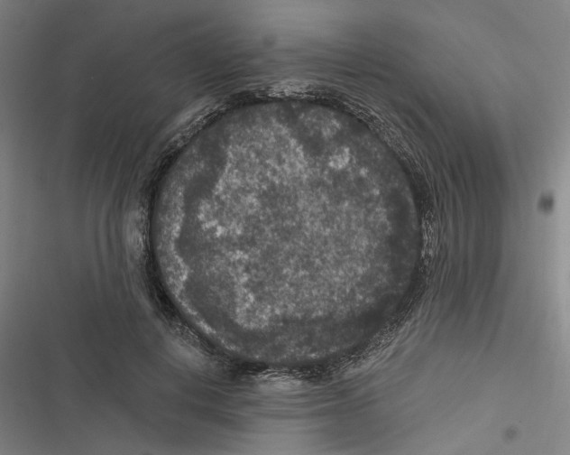 X0000116610648201001081212