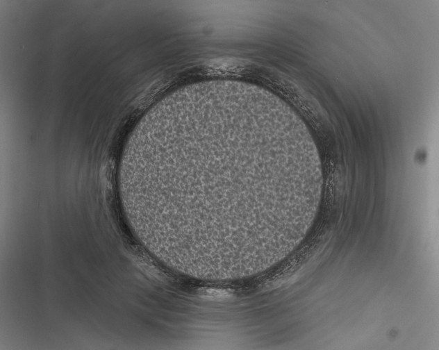 X0000116610649201001081212