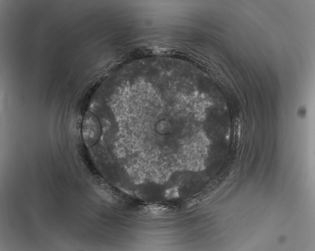 X0000116610650201001081212