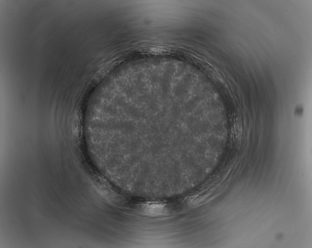 X0000116610651201001081212