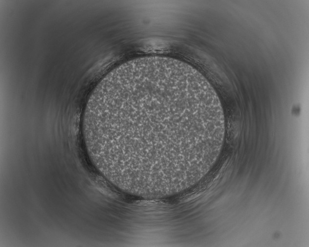 X0000116610652201001081212