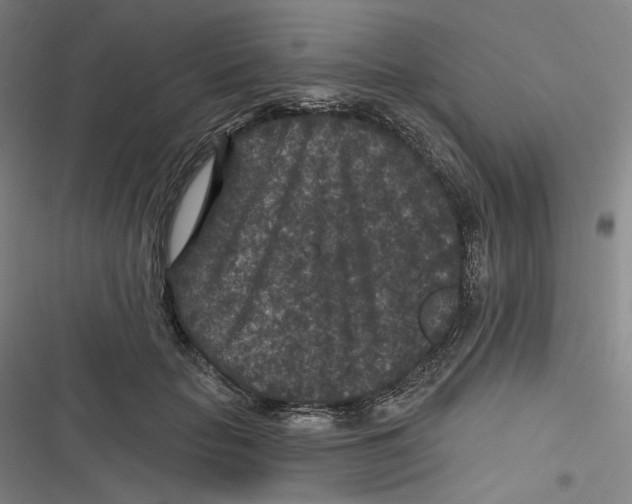 X0000116610653201001081212