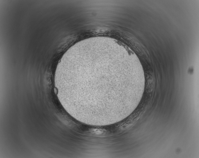 X0000116610654201001081212