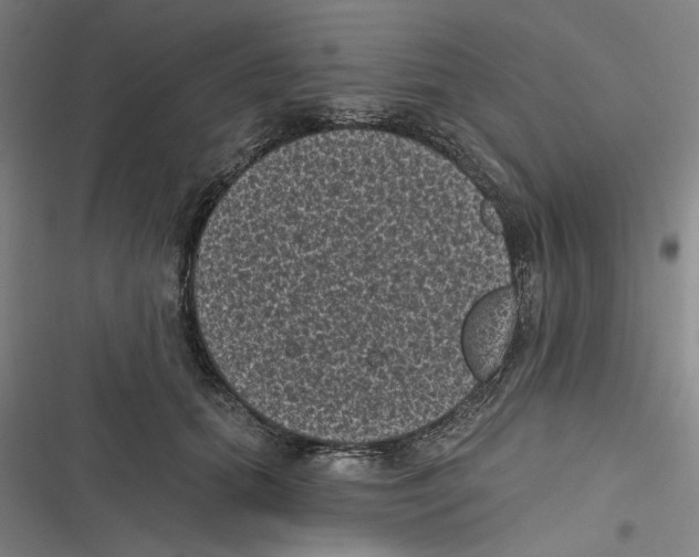 X0000116610655201001081212