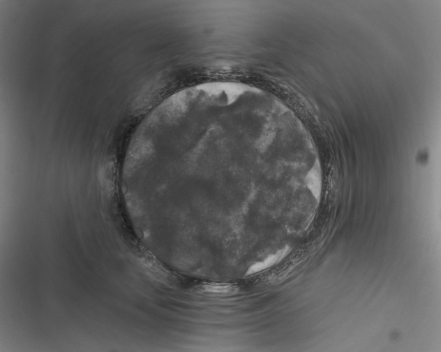 X0000116610659201001081212