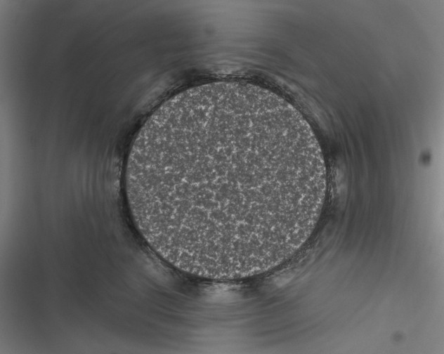 X0000116610664201001081212