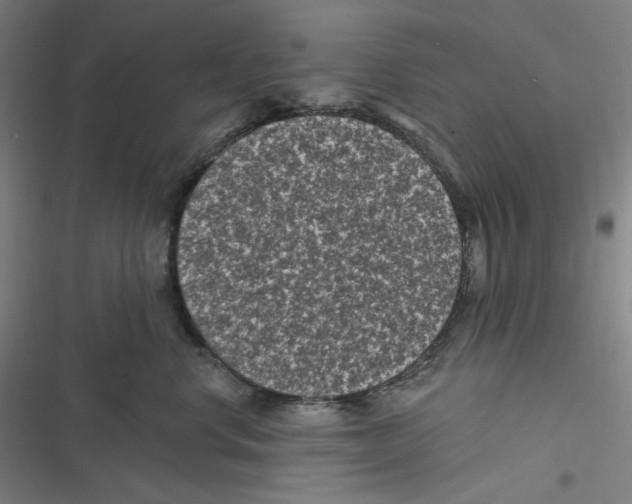 X0000116610668201001081212