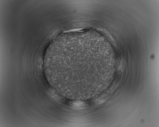 X0000116610669201001081212