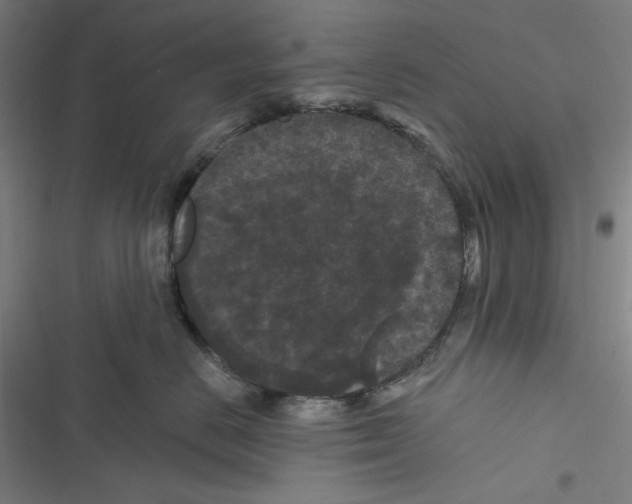 X0000116610670201001081212