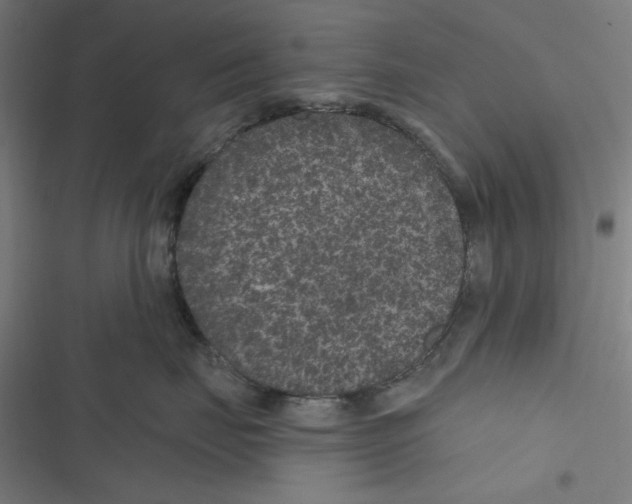 X0000116610671201001081212