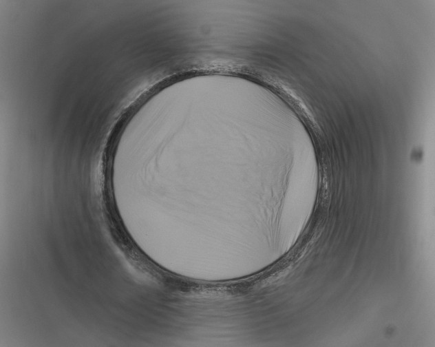 X0000116610674201001081211