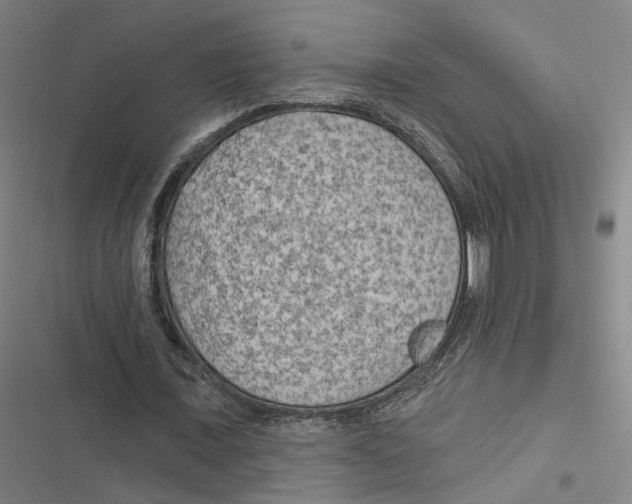 X0000116610675201001081211