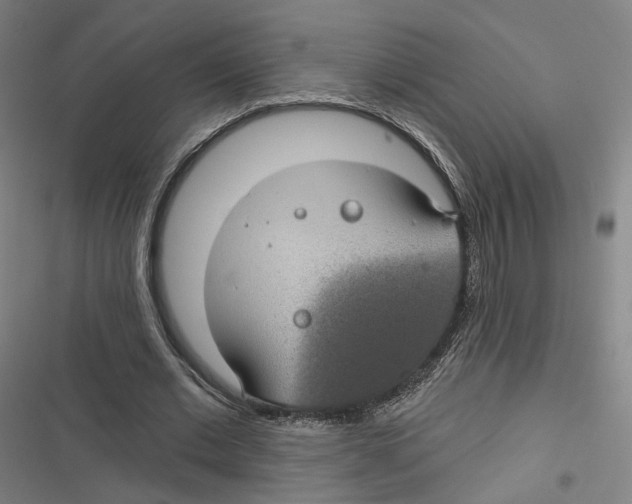 X0000116610677201001081211