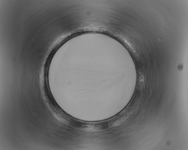 X0000116610678201001081211