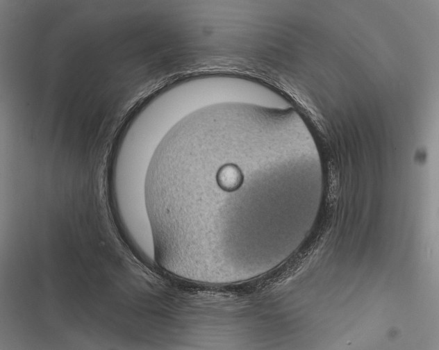 X0000116610681201001081211