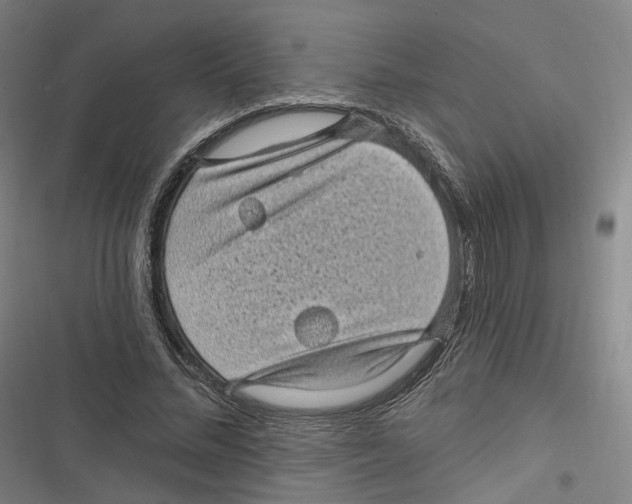 X0000116610684201001081211