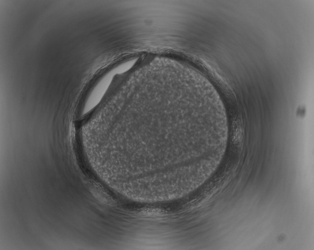 X0000116610685201001081211