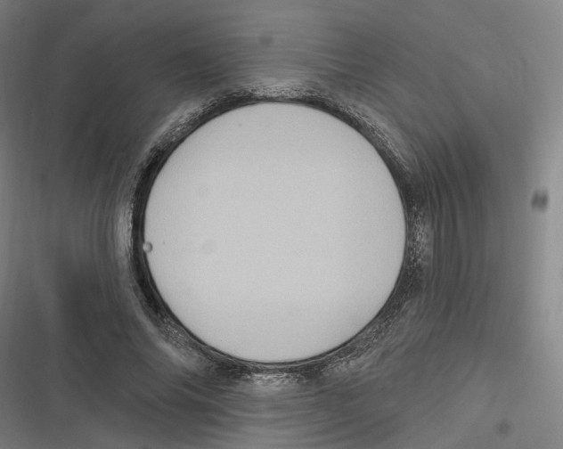 X0000116610686201001081211