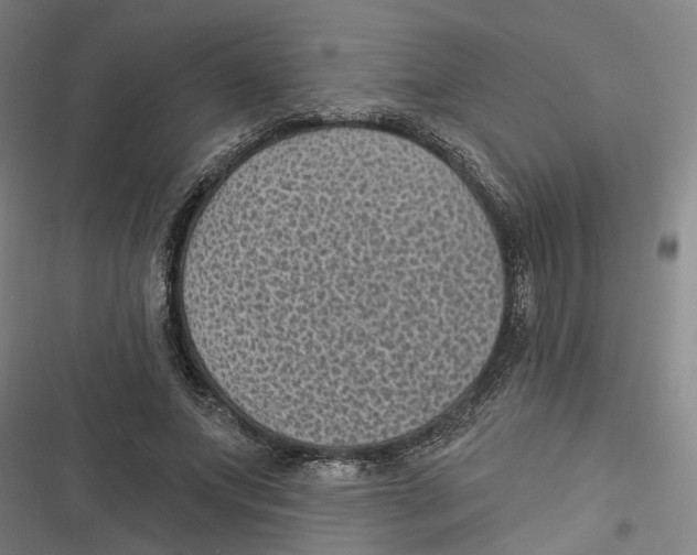 X0000116610687201001081211