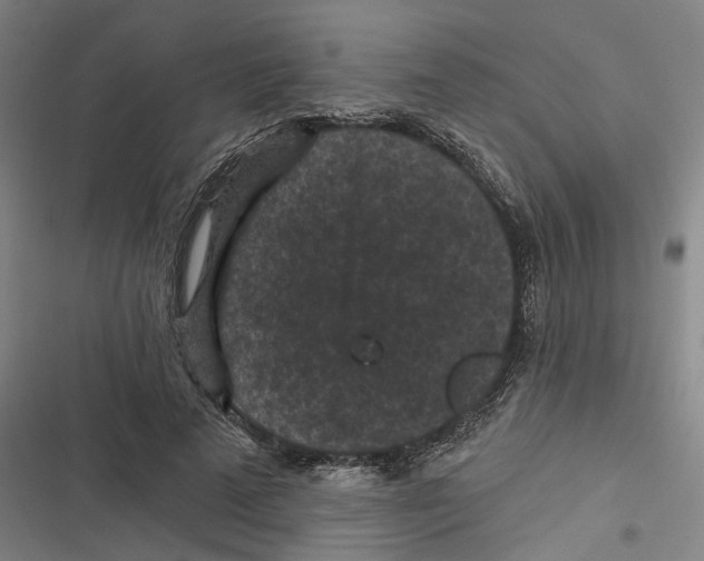 X0000116610689201001081211